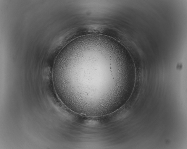 X0000111940649200907271414