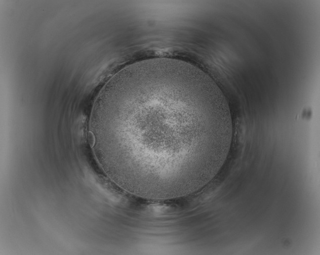 X0000111940650200907271414