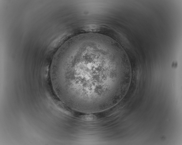 X0000111940652200907271414