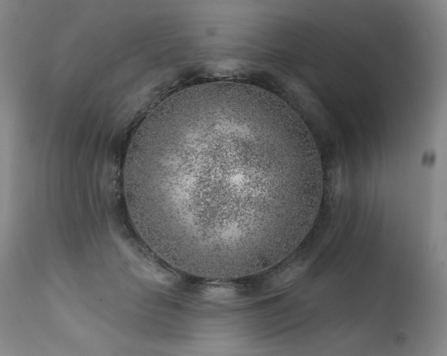 X0000111940653200907271414