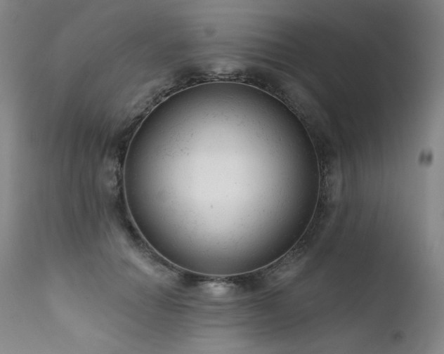 X0000111940654200907271414