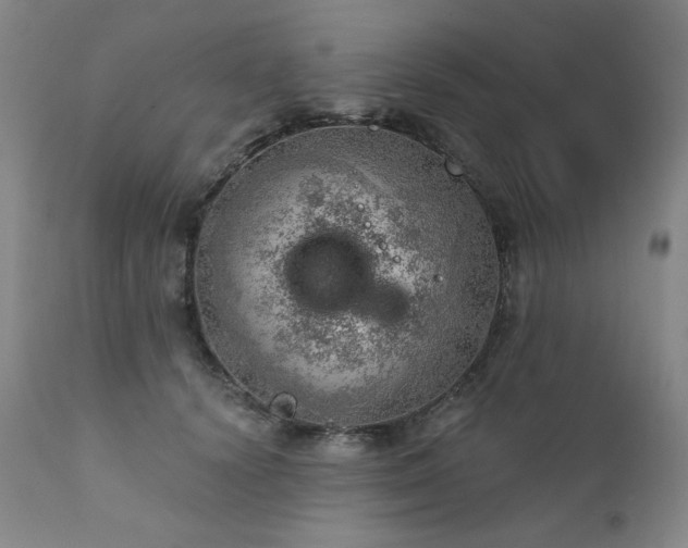 X0000111940656200907271414