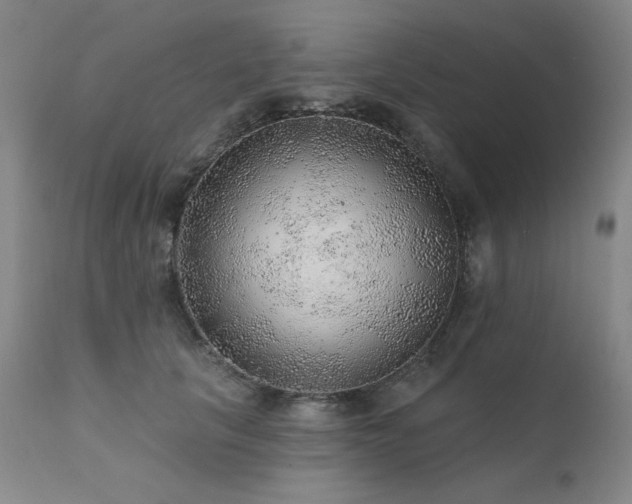 X0000111940657200907271414