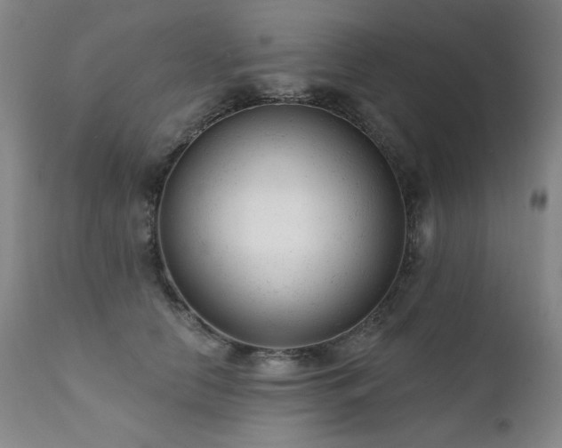 X0000111940658200907271414