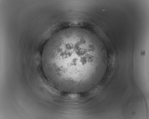 X0000111940659200907271414