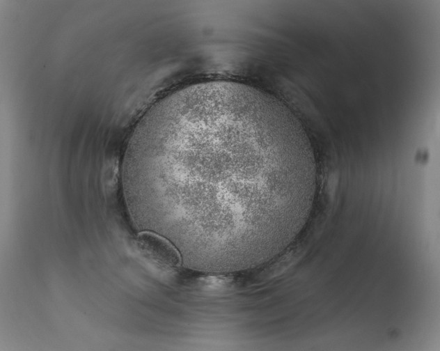 X0000111940660200907271414