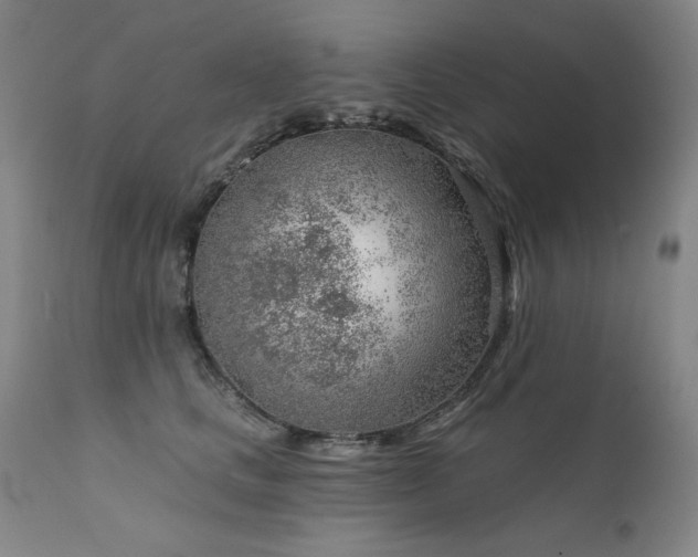 X0000111940661200907271414