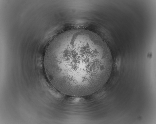 X0000111940663200907271414