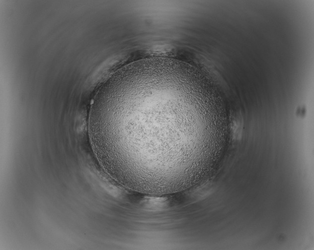 X0000111940665200907271414