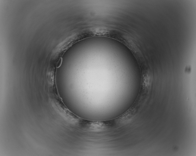 X0000111940666200907271414