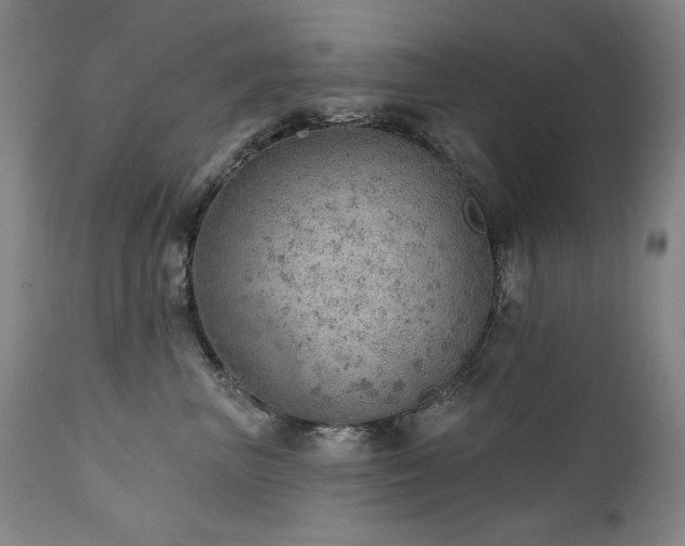 X0000111940667200907271414