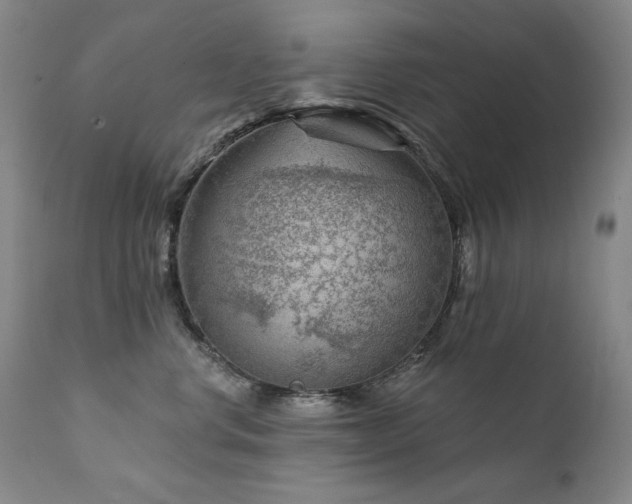 X0000111940668200907271414