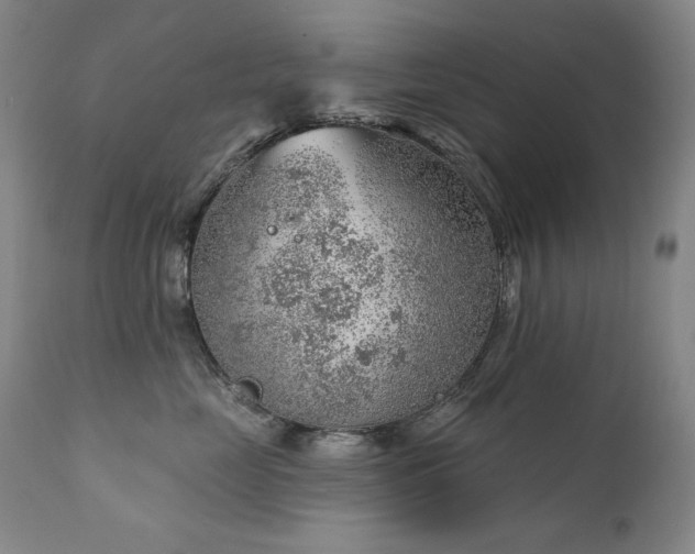 X0000111940669200907271414