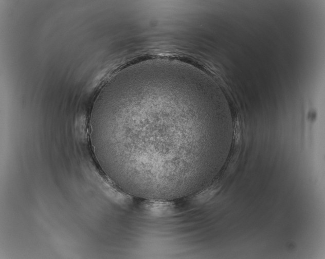 X0000111940670200907271414