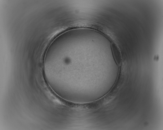 X0000111940673200907271414