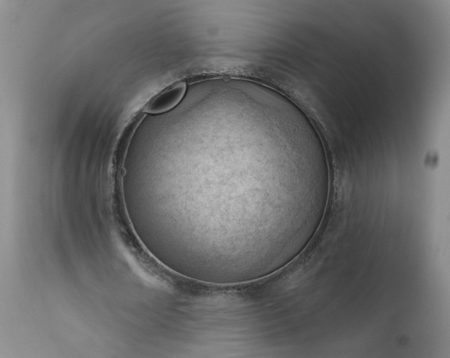 X0000111940674200907271414