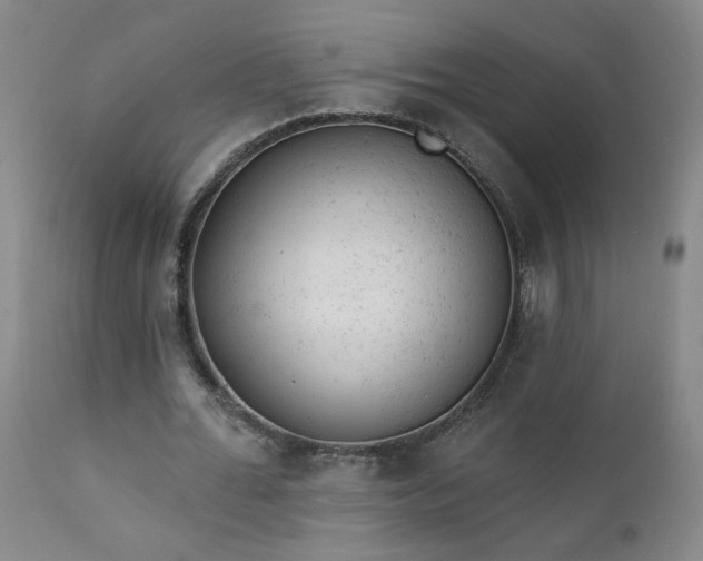 X0000111940676200907271414