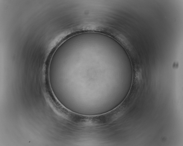 X0000111940678200907271414