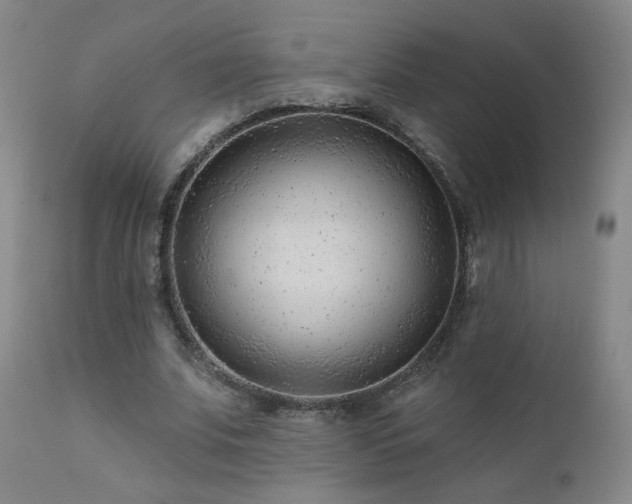 X0000111940679200907271414