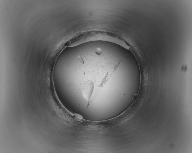 X0000111940681200907271414