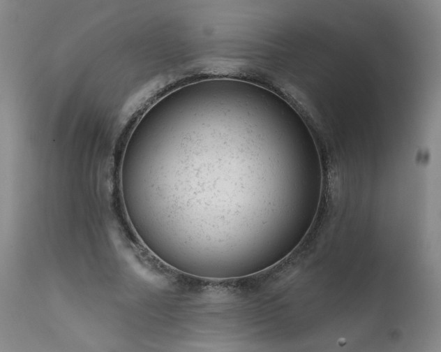 X0000111940682200907271414