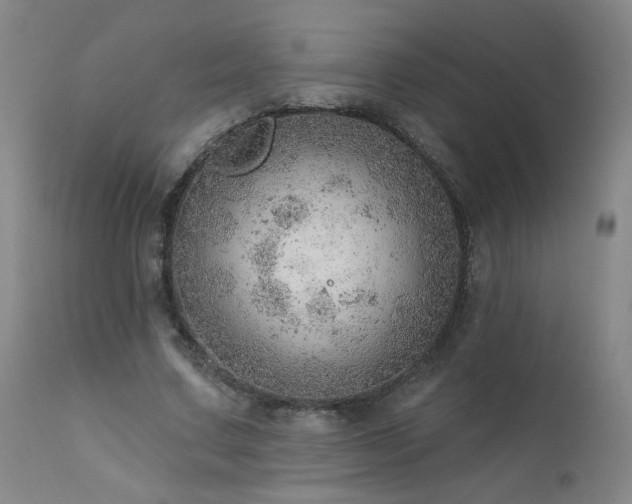 X0000111940683200907271414