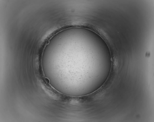 X0000111940684200907271414