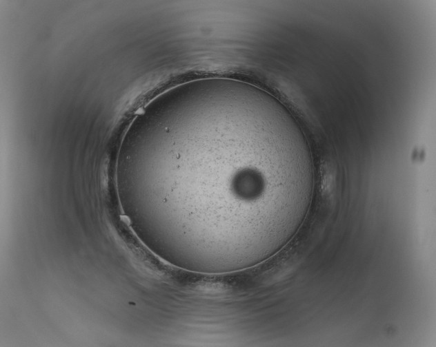 X0000111940685200907271413