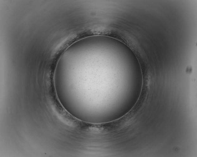 X0000111940690200907271413