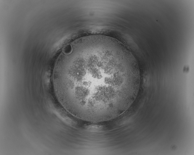 X0000111940691200907271413