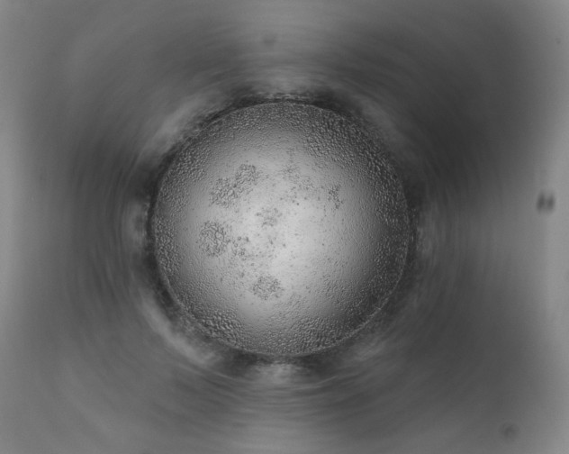 X0000111940695200907271413