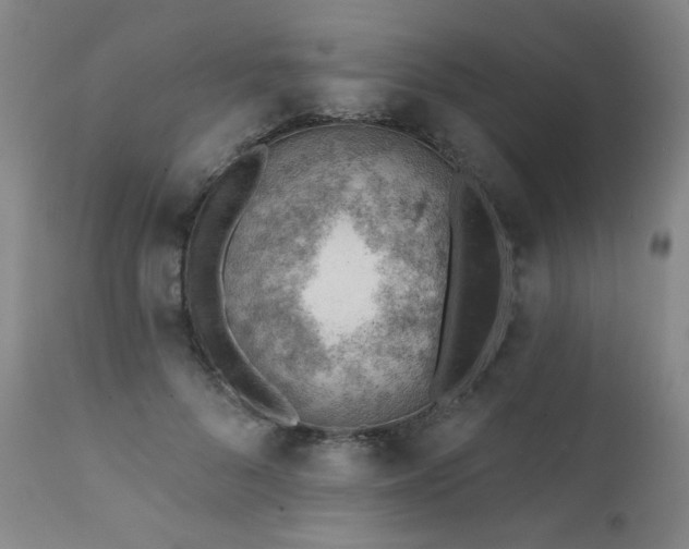 X0000111940696200907271413