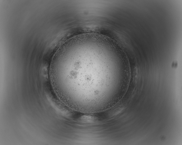 X0000111940699200907271413