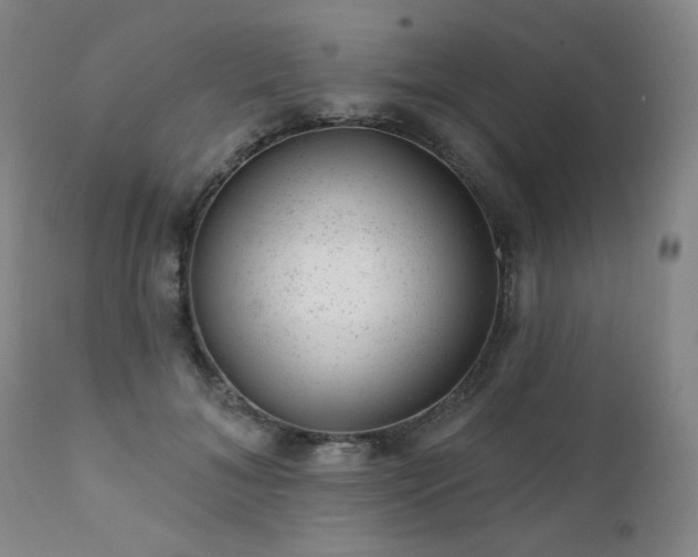 X0000111940700200907271413