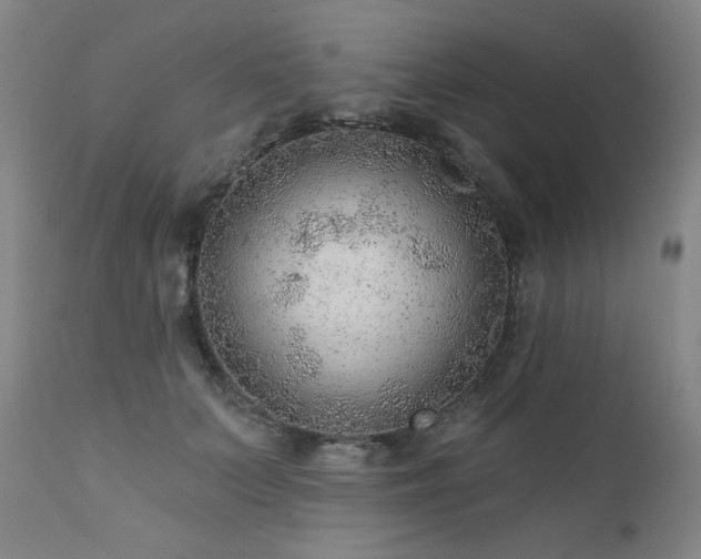 X0000111940703200907271413