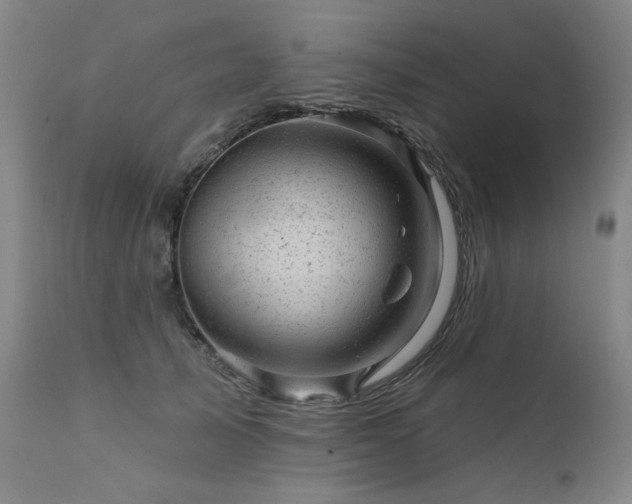 X0000111940705200907271413