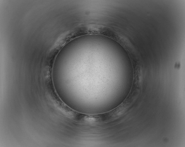 X0000111940706200907271413