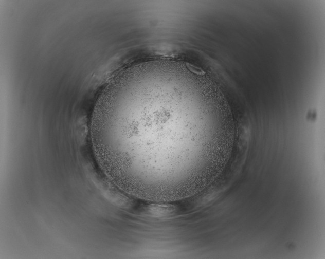 X0000111940707200907271413