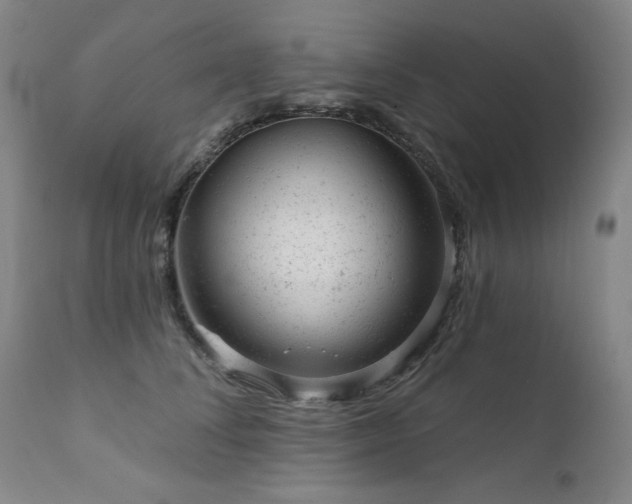 X0000111940708200907271413