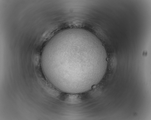 X0000111940709200907271413