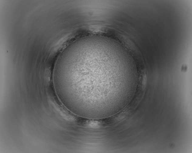 X0000111940710200907271413