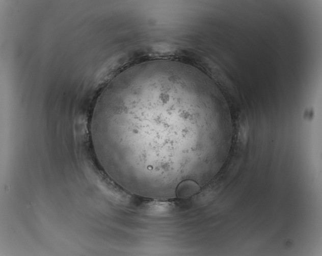 X0000111940711200907271413