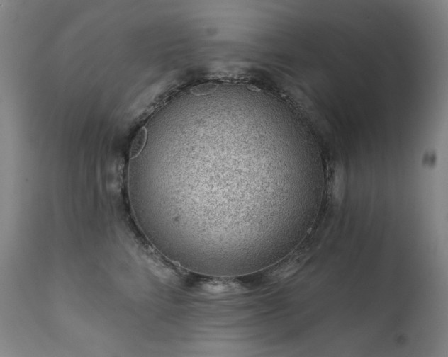 X0000111940712200907271413