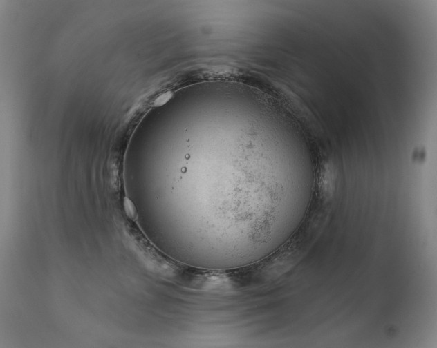 X0000111940715200907271413