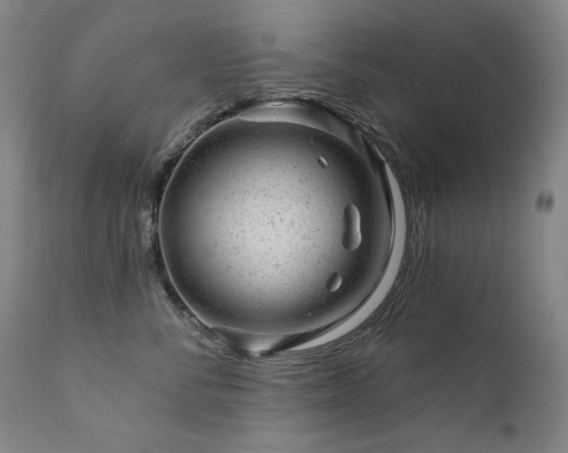 X0000111940716200907271413