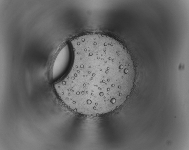 X0000111940720200907271413