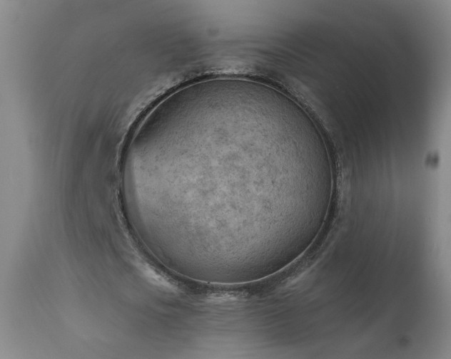 X0000111940721200907271412