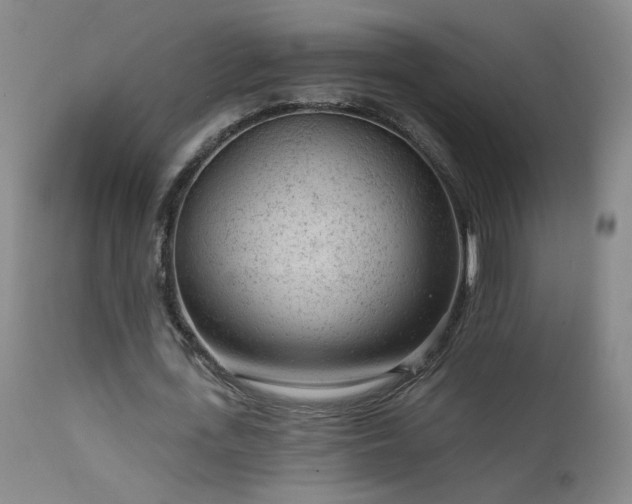 X0000111940723200907271412