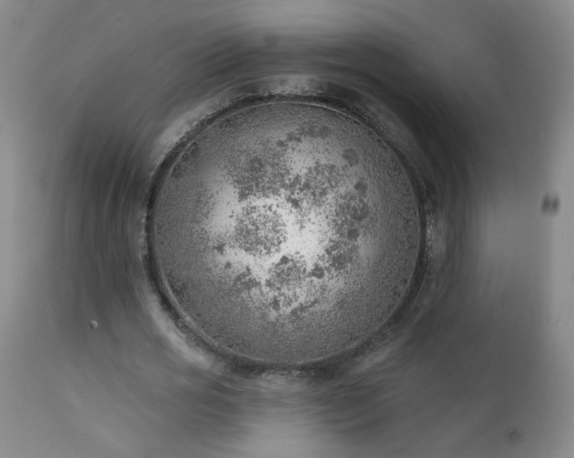 X0000111940725200907271412