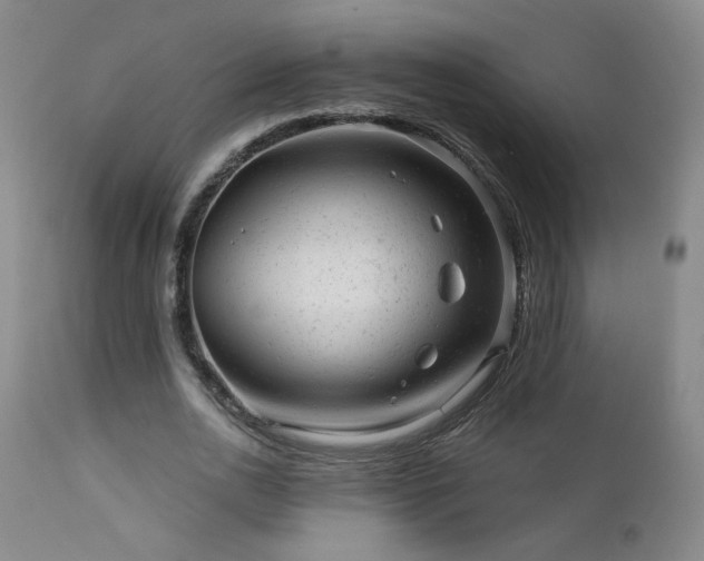 X0000111940726200907271412